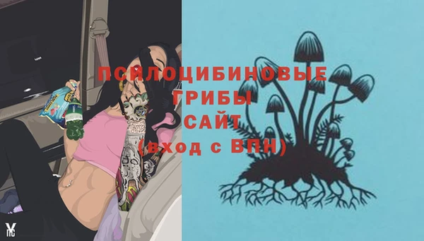 трава Алексин